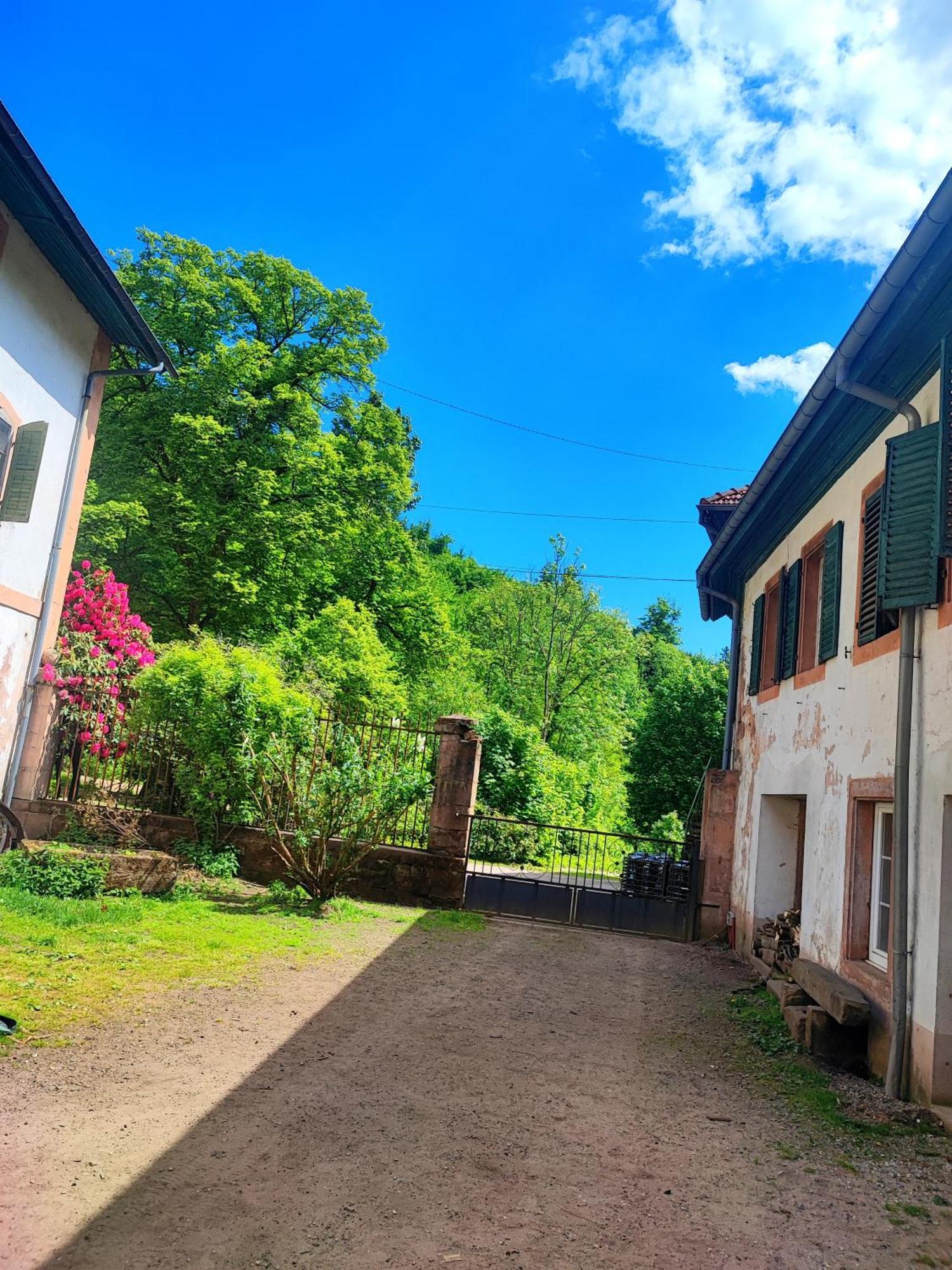 Ferienwohnung La Demeure Des Forges Grandfontaine  Exterior foto
