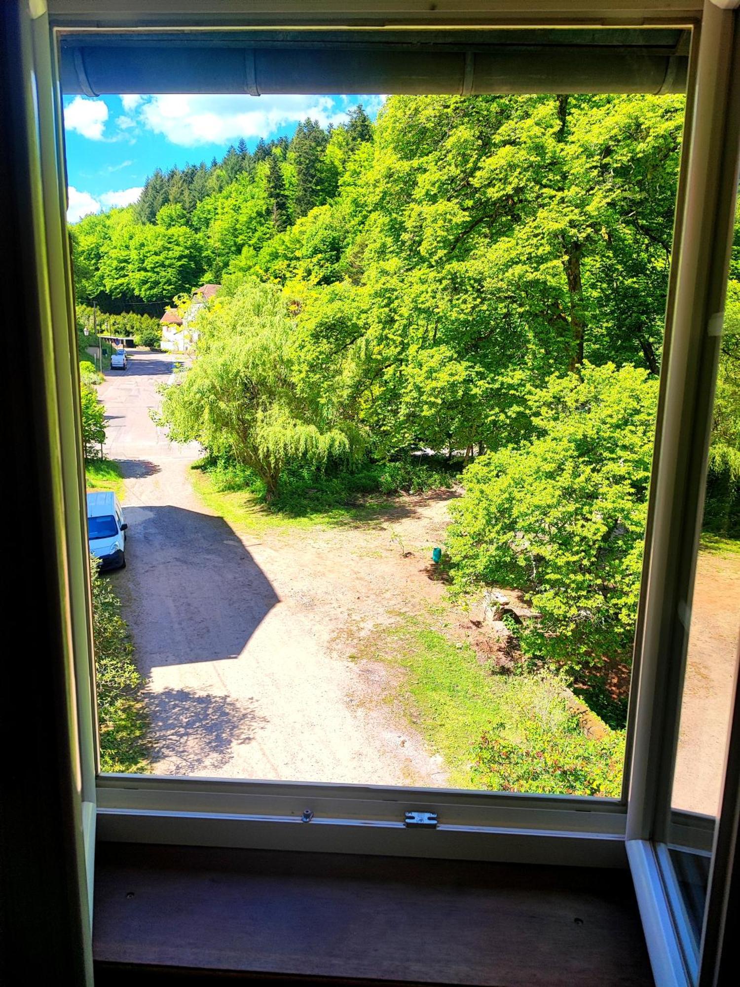 Ferienwohnung La Demeure Des Forges Grandfontaine  Exterior foto