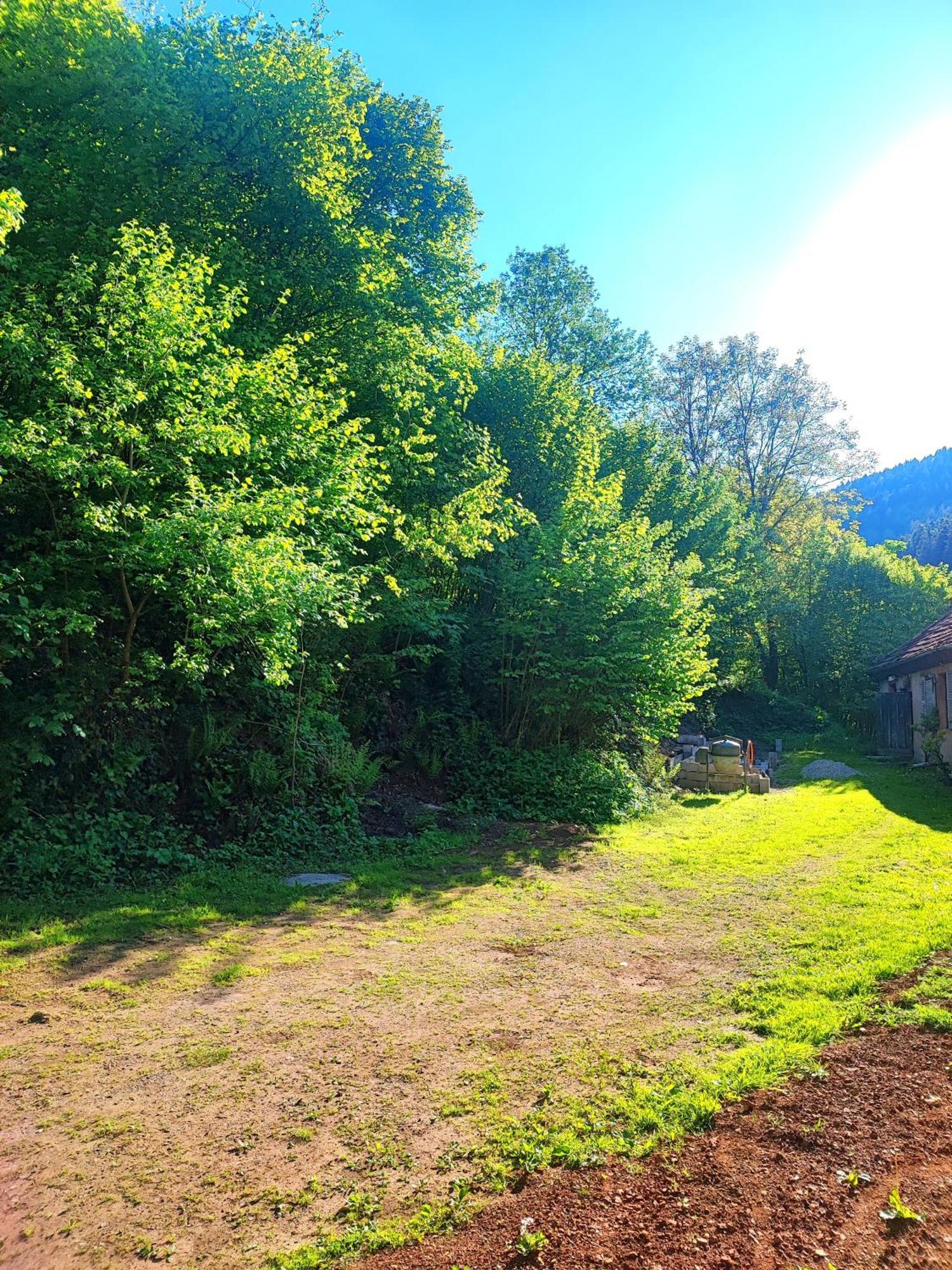Ferienwohnung La Demeure Des Forges Grandfontaine  Exterior foto