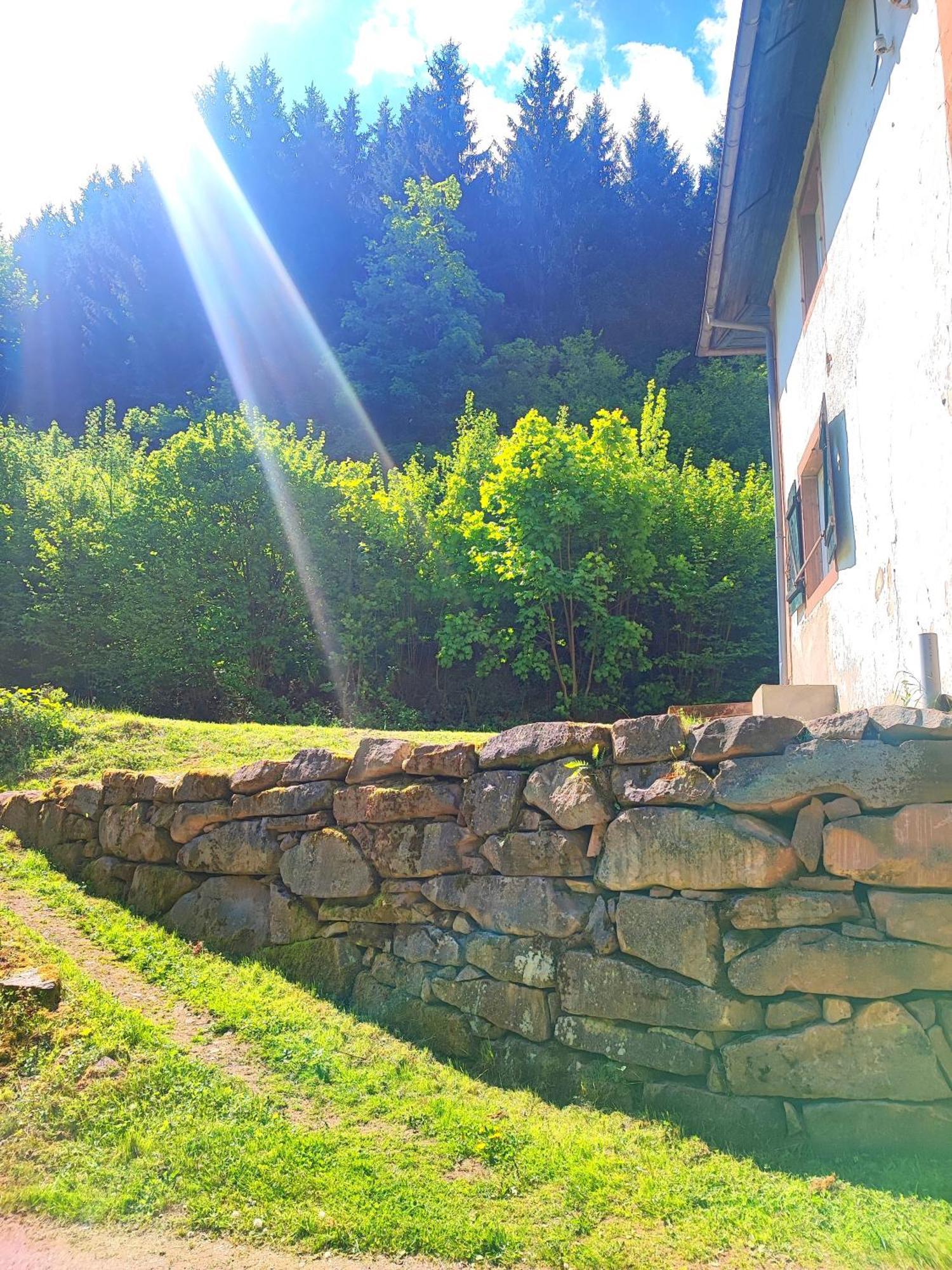 Ferienwohnung La Demeure Des Forges Grandfontaine  Exterior foto