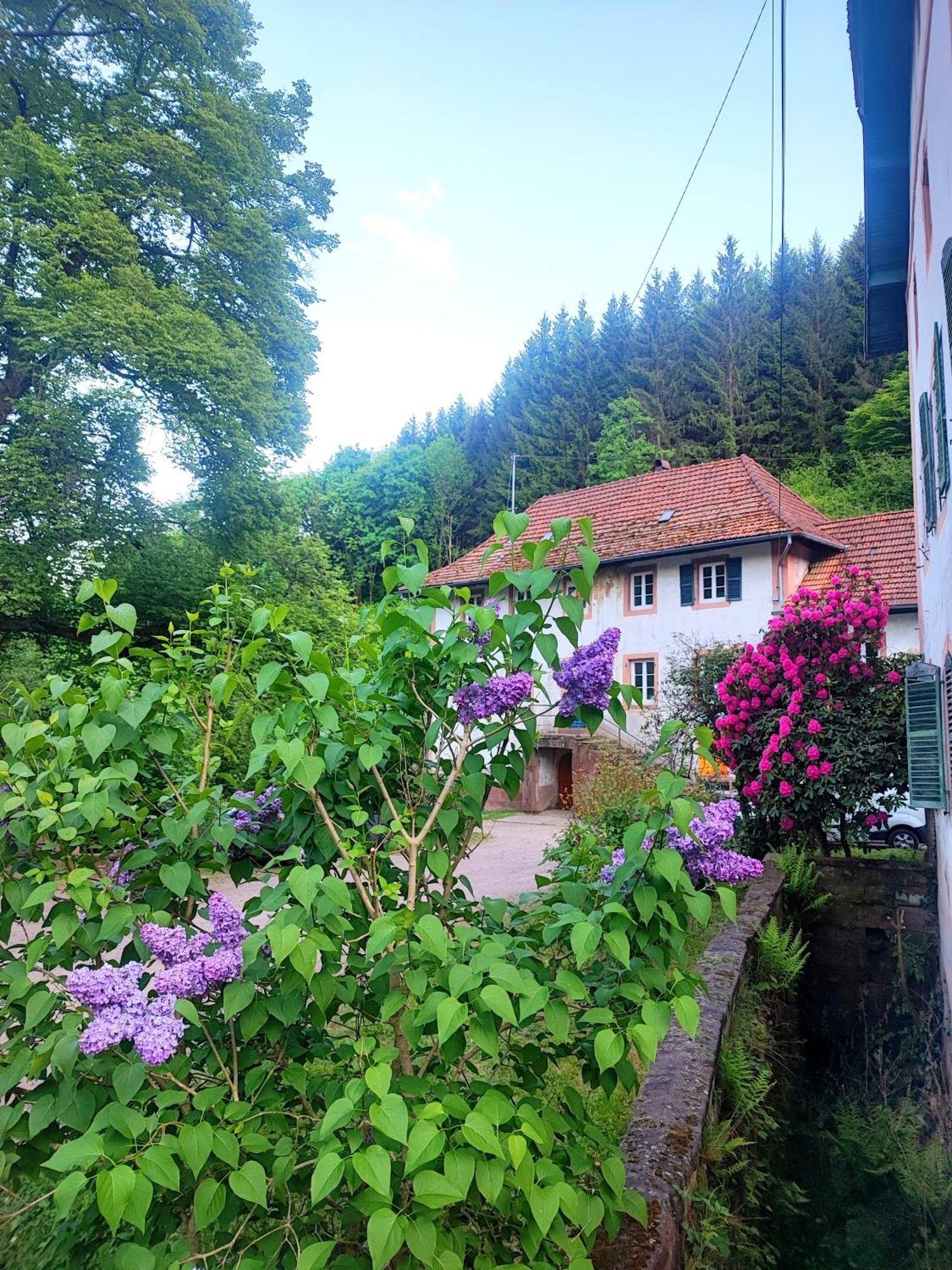 Ferienwohnung La Demeure Des Forges Grandfontaine  Exterior foto
